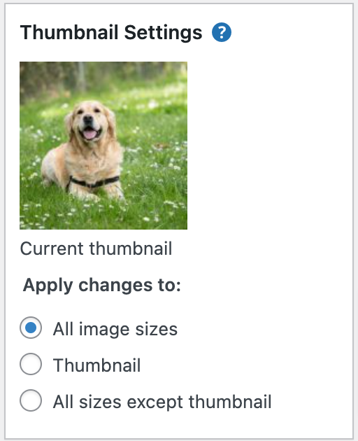 Options for thumbnail settings