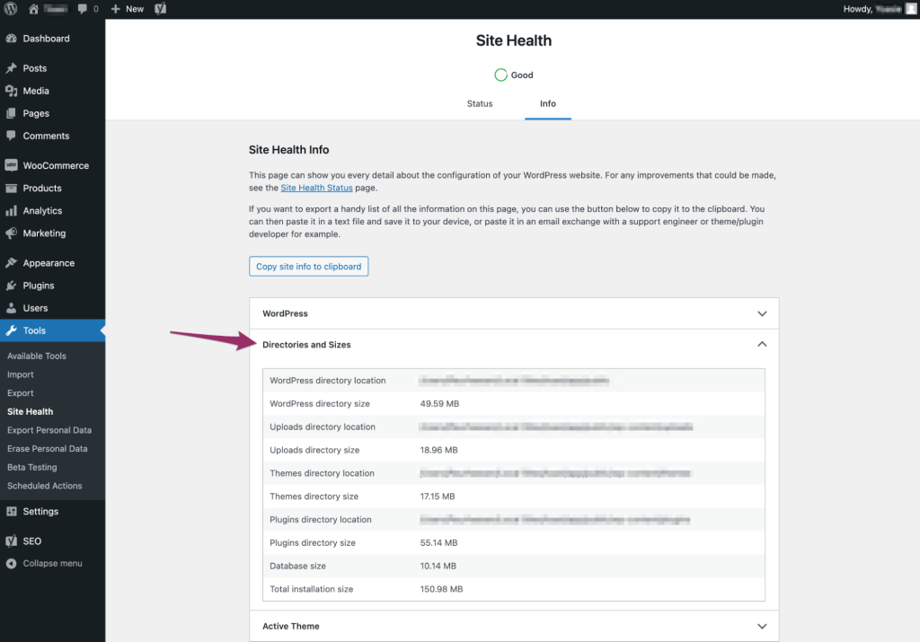 Directories and Sizes tab in Site Health Info Screen