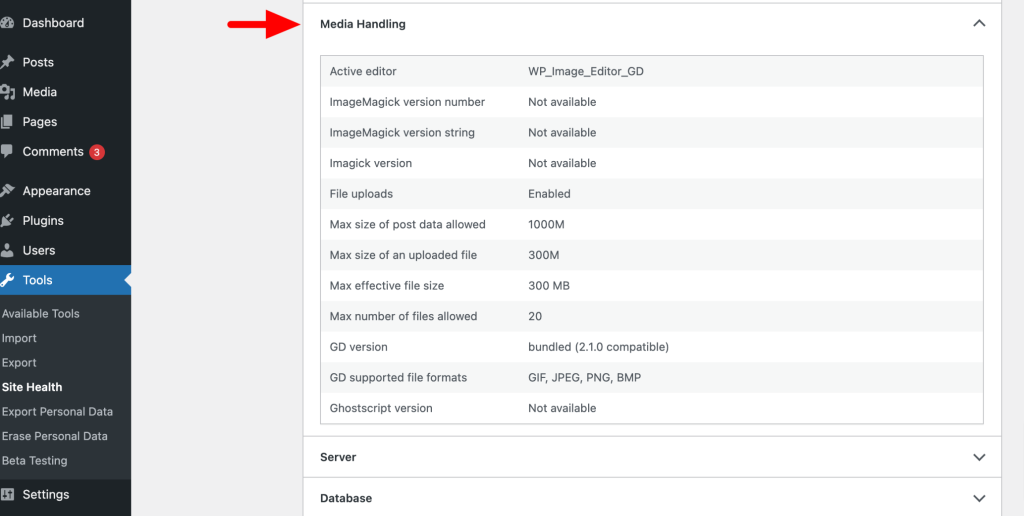 Media Handling tab in Site Health Info Screen.