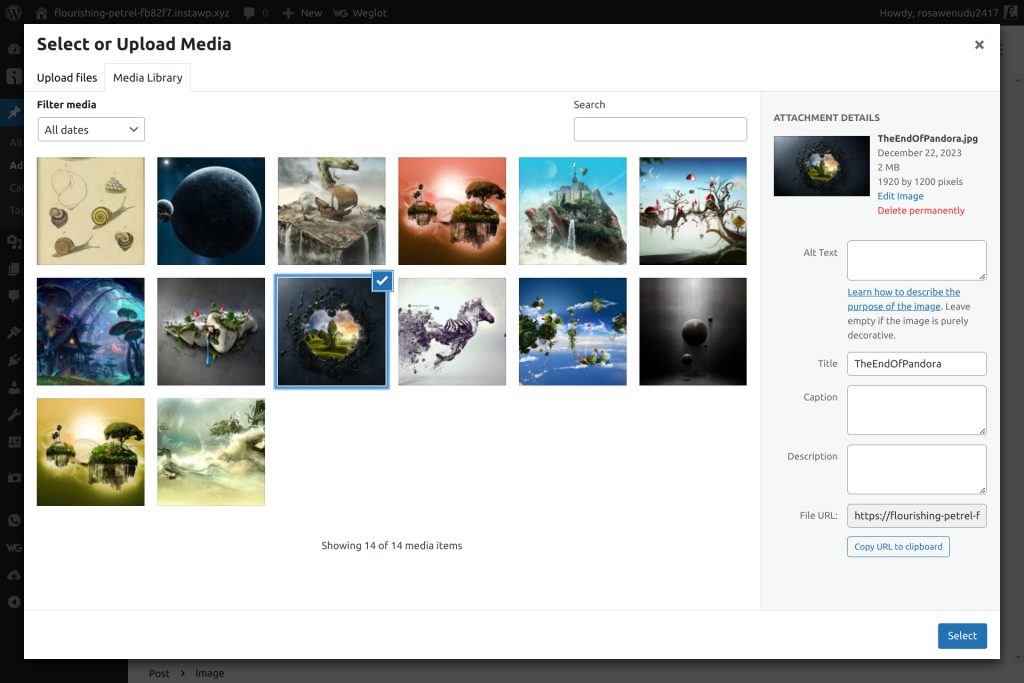 Upload or select an image from your Media Library, add image information, then press Select.