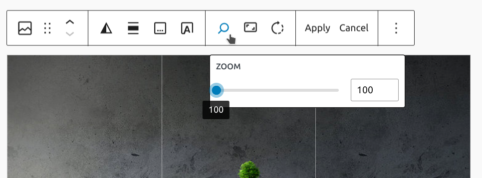 Image toolbar showcasing the zoom option