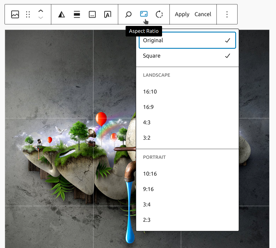 Image showing the cropping tools for an Image block.